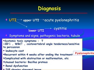 Diagnosis UTI   upper UTI  acute pyelonephritis lower UTI Symptoms and signs, pathogenic bacteria, tubule function and leukocyte cast cystitis Systemic toxic symptoms ：  T >38℃ ， WBC  ， costovertebral angle tenderness/sensitive to percussion leukocyte cast Recurrent within 4 weeks after ending the treatment Complicated with obstruction or malformation, etc Unusual bacteria: Bacillus proteus Renal dysfunction IVP showing abnormal image . Pyelonephritis 