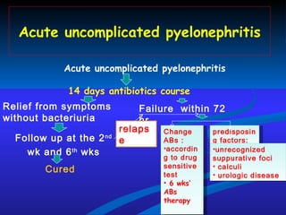 Acute uncomplicated pyelonephritis 14 days antibiotics course  Acute uncomplicated pyelonephritis Follow up at the 2 nd  wk and 6 th  wks Failure  within 72 hr relapse Relief from symptoms without bacteriuria Cured Change ABs : according to drug sensitive test 6 wks’ ABs therapy predisposing factors: unrecognized suppurative foci calculi urologic disease 