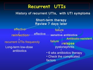 History of recurrent UTIs,  with UTI symptoms Short-term therapy Review 7 days later effective reinfection sensitive antibiotics Long-term low-dose  antibiotics failure effective failure pyelonephritis 6 wks antibiotics   therapy Check the complicated factors relapse recurrent UTIs frequencly Antibiotic-resistent Recurrent  UTIs 