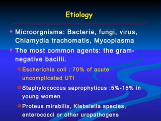 Etiology Microorgnisma: Bacteria, fungi, virus, Chlamydia trachomatis, Mycoplasma The most common agents: the gram-negative bacilli.  Escherichia coli : 70% of acute uncomplicated UTI Staphylococcus saprophyticus :5%-15% in young women Proteus mirabilis, Klebsiella species, enterococci or other uropathogens 