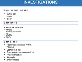 INVESTIGATIONS
 White cell
count
 CRP
+ leukocyte esterase
+ nitrites
More likely gram-negative
rods
+ WBCs
+ RBCs
 Positive urine culture >10^5
CFU/ml
 Escherichia coli
 Staphylococcus saprophyticus
 Proteus mirabilis
 Klebsiella
 Enterococcus
F U L L B L O O D C O U N T
U R I N A LY S I S
U R I N E C &S
 