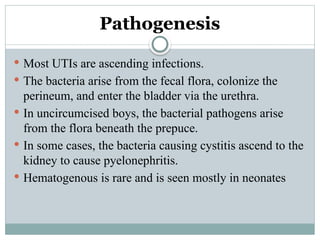 Pathogenesis
 Most UTIs are ascending infections.
 The bacteria arise from the fecal flora, colonize the
perineum, and enter the bladder via the urethra.
 In uncircumcised boys, the bacterial pathogens arise
from the flora beneath the prepuce.
 In some cases, the bacteria causing cystitis ascend to the
kidney to cause pyelonephritis.
 Hematogenous is rare and is seen mostly in neonates
 
