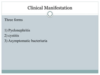 Clinical Manifestation
Three forms
1) Pyelonephritis
2) cystitis
3) Asymptomatic bacteriuria
 