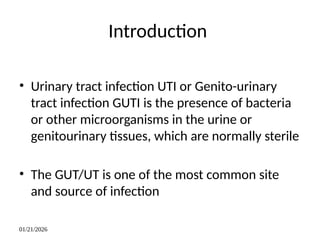 Uti Presentation.pdf Urinary tract infection presentation ppt | PPTX