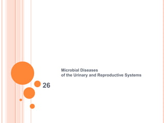 26 Microbial Diseases of the Urinary and Reproductive Systems 