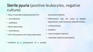 UTI in children BY DR VIJITHA | PPTX