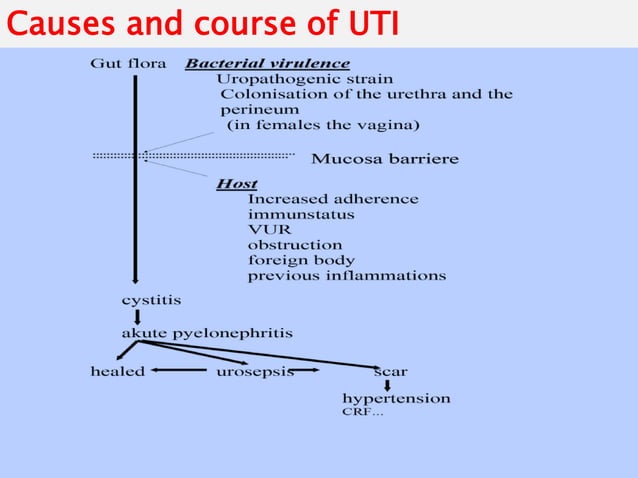 UTI in Pediatric age -How to Manage?.ppt | Infectious Diseases ...