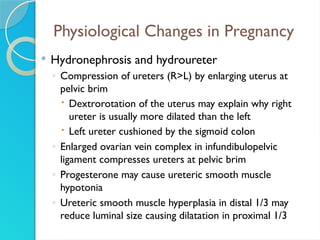 Pyuria Pregnancy Comprehensive Overview of Bacteriuria and Urinary Tract Infections in ...