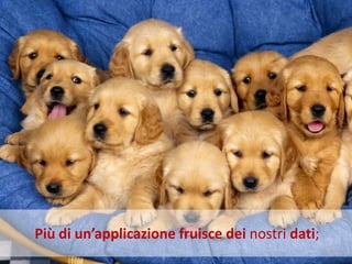Più di un’applicazione fruisce dei nostri dati;
 