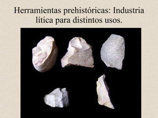 Herramientas prehistóricas: Industria lítica para distintos usos.