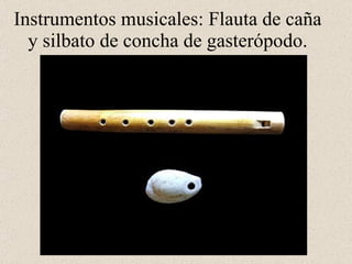 Instrumentos musicales: Flauta de caña y silbato de concha de gasterópodo.
