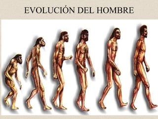 EVOLUCIÓN DEL HOMBRE