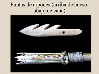 Puntas de arpones (arriba de hueso; abajo de caña)