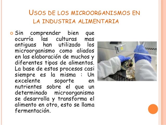 Los 23 Usos De Los Microorganismos En La Industria – KWZNZE