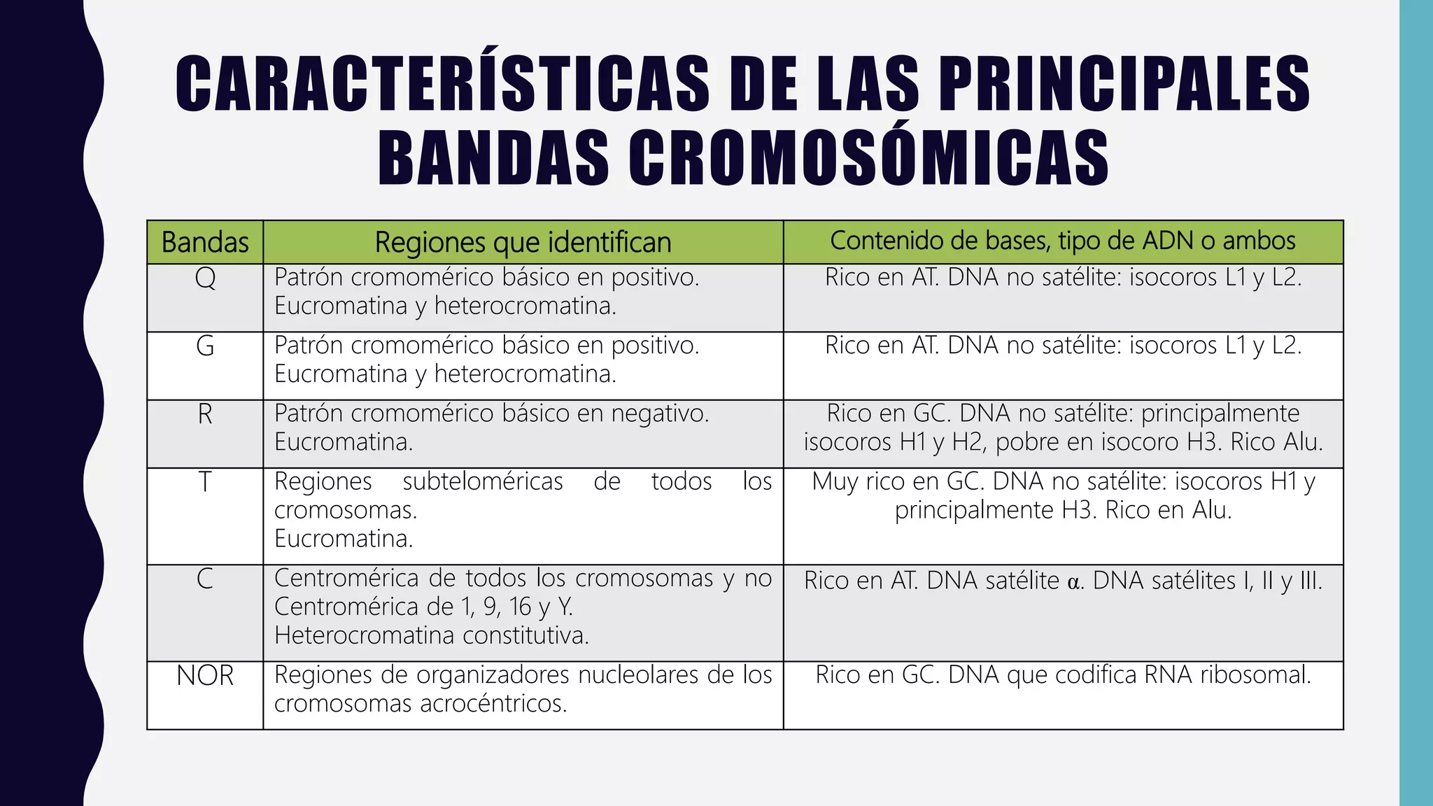 Utilidad clinica de la metodologia citogenetica. e2 | PPTX