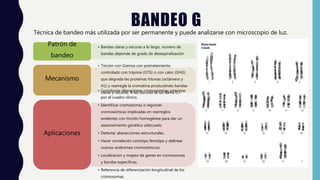 Utilidad clinica de la metodologia citogenetica. e2 | PPTX