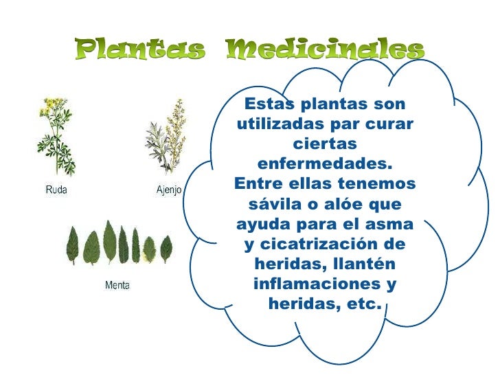 Utilidad de las plantas