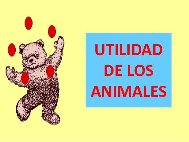 Utilidad de los animales 1º