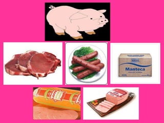 Utilidad de los animales 1º