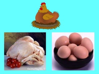 Utilidad de los animales 1º