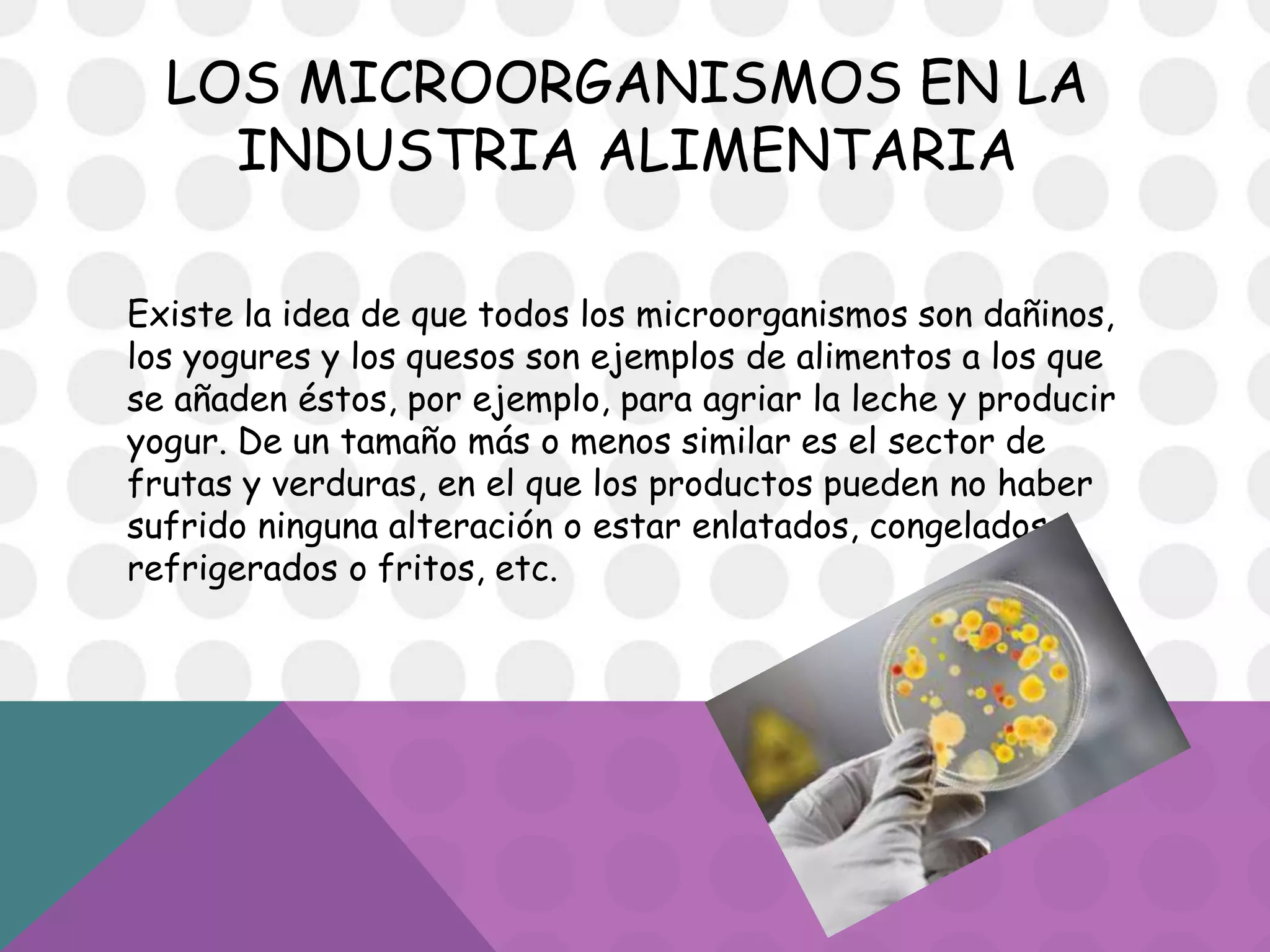 Utilidad De Los Microorganismos En La Industria Alimenticia | PPTX