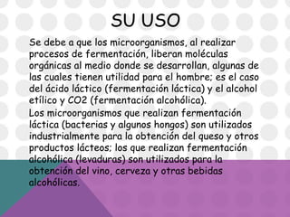 Utilidad De Los Microorganismos En La Industria Alimenticia | PPTX