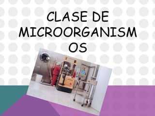 Utilidad De Los Microorganismos En La Industria Alimenticia | PPTX