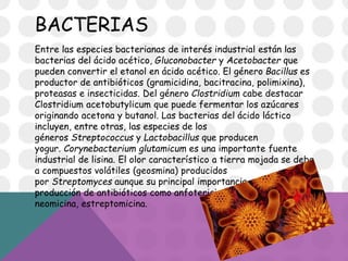 Utilidad De Los Microorganismos En La Industria Alimenticia | PPTX