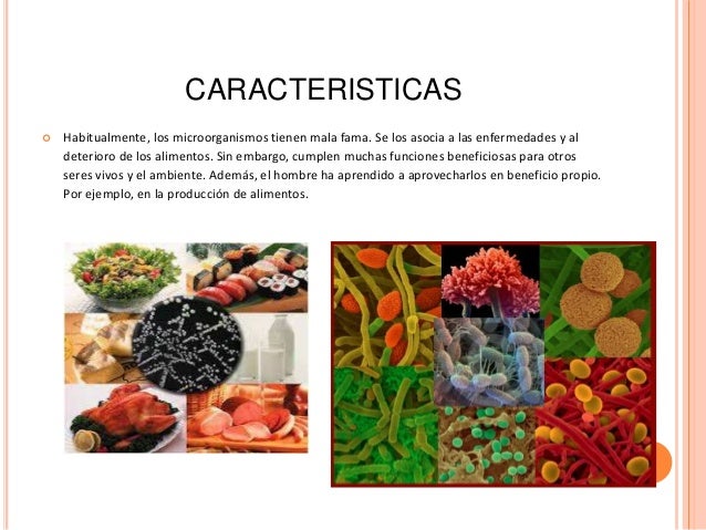 Utilidad de los en la industria