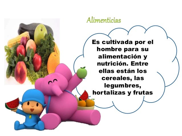 Resultado de imagen de las plantas para primaria