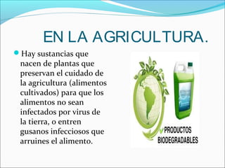 EN LA AGRICULTURA.
Hay sustancias que
nacen de plantas que
preservan el cuidado de
la agricultura (alimentos
cultivados) para que los
alimentos no sean
infectados por virus de
la tierra, o entren
gusanos infecciosos que
arruines el alimento.