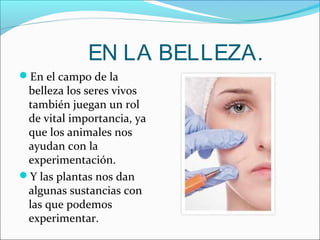 EN LA BELLEZA.
En el campo de la
belleza los seres vivos
también juegan un rol
de vital importancia, ya
que los animales nos
ayudan con la
experimentación.
Y las plantas nos dan
algunas sustancias con
las que podemos
experimentar.