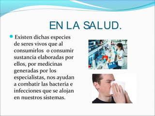 EN LA SALUD.
Existen dichas especies
de seres vivos que al
consumirlos o consumir
sustancia elaboradas por
ellos, por medicinas
generadas por los
especialistas, nos ayudan
a combatir las bacteria e
infecciones que se alojan
en nuestros sistemas.