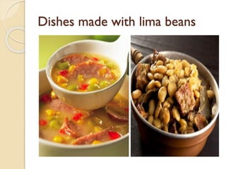 Dishes made with lima beans
 