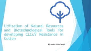 Utilization of Natural Resources
and Biotechnological Tools for
developing CLCuV Resistance in
Cotton
By Umair Rasool Azmi
1
 