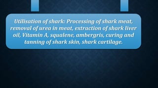 Utilisation of shark: Processing of shark meat,
removal of urea in meat, extraction of shark liver
oil, Vitamin A, squalene, ambergris, curing and
tanning of shark skin, shark cartilage.
 