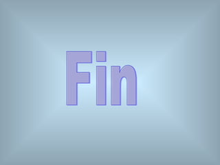 Fin 