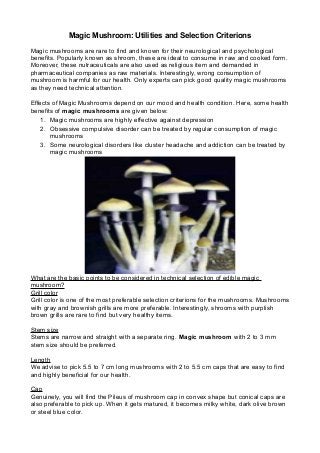 Magic Mushroom: Utilities and Selection Criterions
Magic mushrooms are rare to find and known for their neurological and psychological
benefits. Popularly known as shroom, these are ideal to consume in raw and cooked form.
Moreover, these nutraceuticals are also used as religious item and demanded in
pharmaceutical companies as raw materials. Interestingly, wrong consumption of
mushroom is harmful for our health. Only experts can pick good quality magic mushrooms
as they need technical attention.
Effects of Magic Mushrooms depend on our mood and health condition. Here, some health
benefits of magic mushrooms are given below:
1. Magic mushrooms are highly effective against depression
2. Obsessive compulsive disorder can be treated by regular consumption of magic
mushrooms
3. Some neurological disorders like cluster headache and addiction can be treated by
magic mushrooms
What are the basic points to be considered in technical selection of edible magic
mushroom?
Grill color
Grill color is one of the most preferable selection criterions for the mushrooms. Mushrooms
with gray and brownish grills are more preferable. Interestingly, shrooms with purplish
brown grills are rare to find but very healthy items.
Stem size
Stems are narrow and straight with a separate ring. Magic mushroom with 2 to 3 mm
stem size should be preferred.
Length
We advise to pick 5.5 to 7 cm long mushrooms with 2 to 5.5 cm caps that are easy to find
and highly beneficial for our health.
Cap
Genuinely, you will find the Pileus of mushroom cap in convex shape but conical caps are
also preferable to pick up. When it gets matured, it becomes milky white, dark olive brown
or steel blue color.
 
