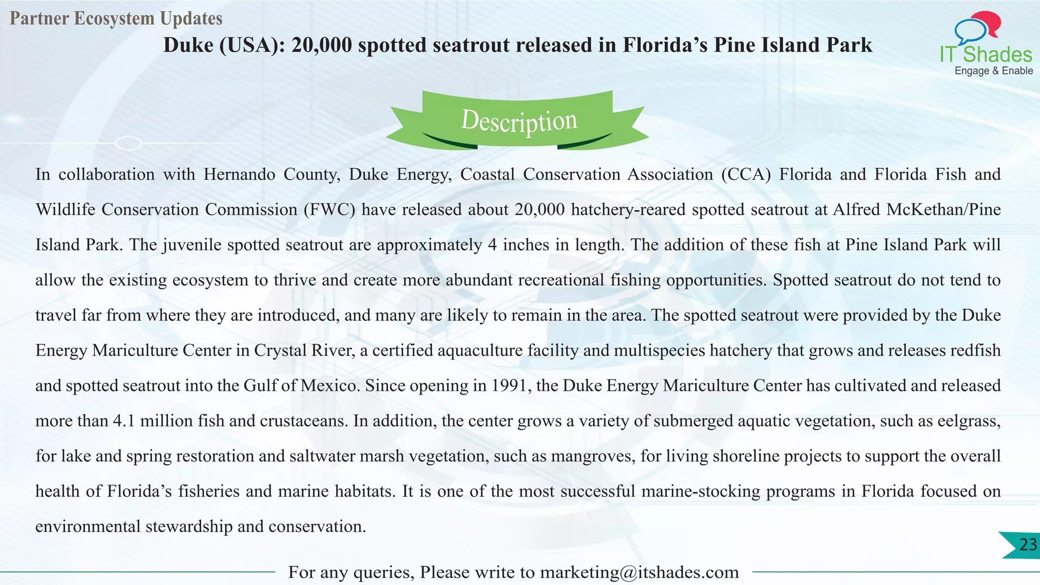 Partner Ecosystem Updates
IT Shades
Engage & Enable
Duke (USA): 20,000 spotted seatrout released in Florida’s Pine Island Park
For any queries, Please write to marketing@itshades.com
23
In collaboration with Hernando County, Duke Energy, Coastal Conservation Association (CCA) Florida and Florida Fish and
Wildlife Conservation Commission (FWC) have released about 20,000 hatchery-reared spotted seatrout at Alfred McKethan/Pine
Island Park. The juvenile spotted seatrout are approximately 4 inches in length. The addition of these fish at Pine Island Park will
allow the existing ecosystem to thrive and create more abundant recreational fishing opportunities. Spotted seatrout do not tend to
travel far from where they are introduced, and many are likely to remain in the area. The spotted seatrout were provided by the Duke
Energy Mariculture Center in Crystal River, a certified aquaculture facility and multispecies hatchery that grows and releases redfish
and spotted seatrout into the Gulf of Mexico. Since opening in 1991, the Duke Energy Mariculture Center has cultivated and released
more than 4.1 million fish and crustaceans. In addition, the center grows a variety of submerged aquatic vegetation, such as eelgrass,
for lake and spring restoration and saltwater marsh vegetation, such as mangroves, for living shoreline projects to support the overall
health of Florida’s fisheries and marine habitats. It is one of the most successful marine-stocking programs in Florida focused on
environmental stewardship and conservation.
Description
 