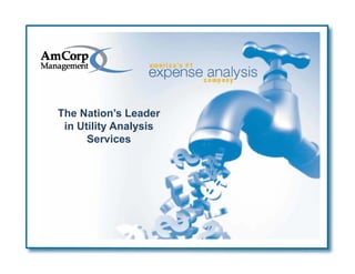 The Nation’s Leader
 in Utility Analysis
      Services
 