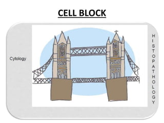 Utility of cell block in cytology. | PPTX