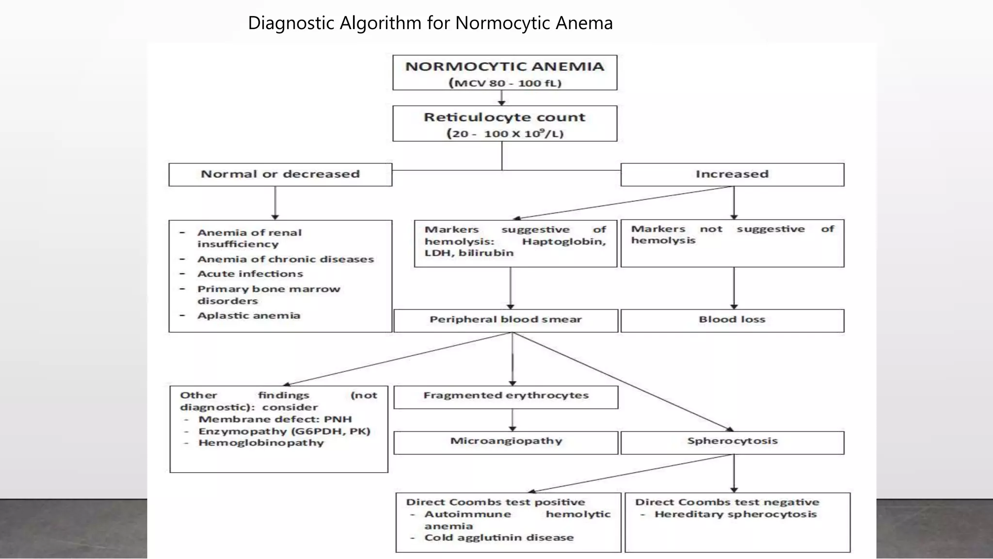 Diagnostic Algorithm for Normocytic Anema
 