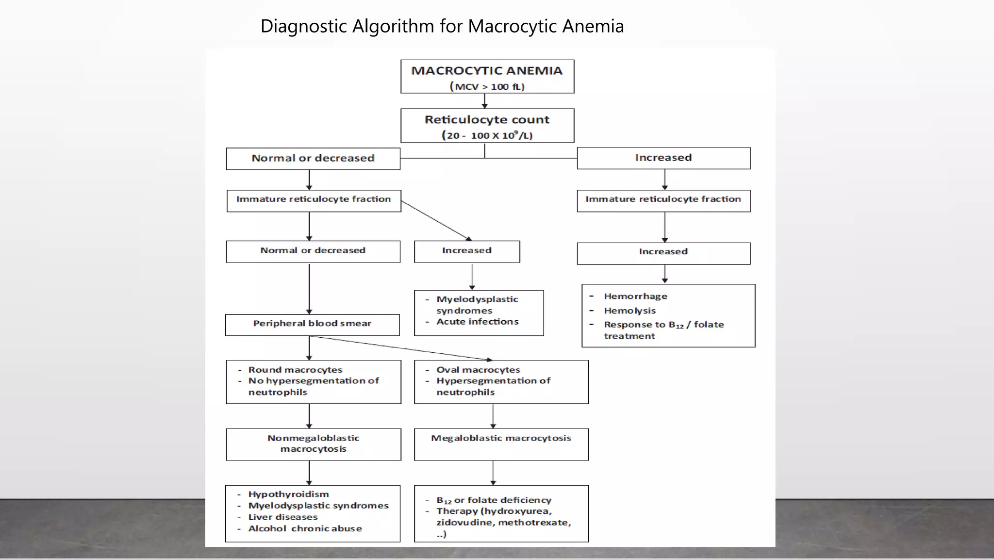 Diagnostic Algorithm for Macrocytic Anemia
 