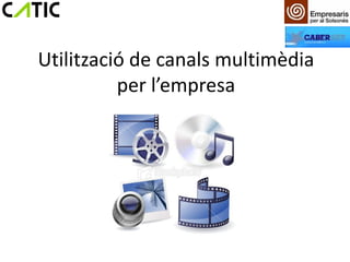 Utilització de canals multimèdia
          per l’empresa
 