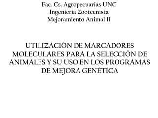 Fac. Cs. Agropecuarias UNC
Ingeniería Zootecnista
Mejoramiento Animal II
UTILIZACIÓN DE MARCADORES
MOLECULARES PARA LA SELECCIÓN DE
ANIMALES Y SU USO EN LOS PROGRAMAS
DE MEJORA GENÉTICA
 
