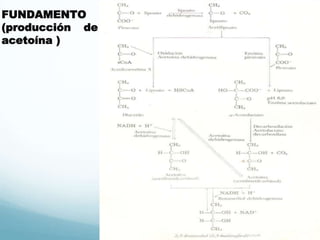 Utilizacion de-carbohidratos | PPTX