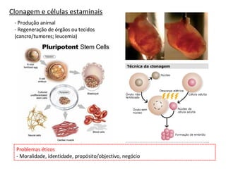 Clonagem e células estaminais - Produção animal - Regeneração de órgãos ou tecidos (cancro/tumores; leucemia) Problemas éticos - Moralidade, identidade, propósito/objectivo, negócio 