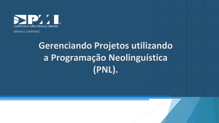 Gerenciando Projetos utilizando
a Programação Neolinguística
(PNL).
BRANCH CAMPINAS
 