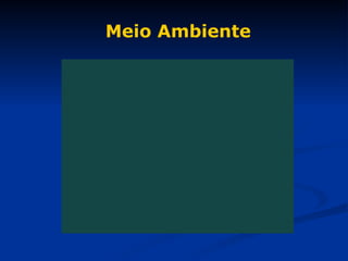 Meio Ambiente 