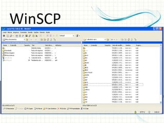 WinSCP
 